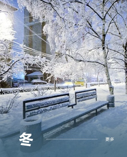 冬