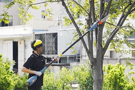 YAT城市園林系列YT411高枝鋸使用視頻
