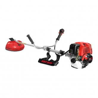 YT139C